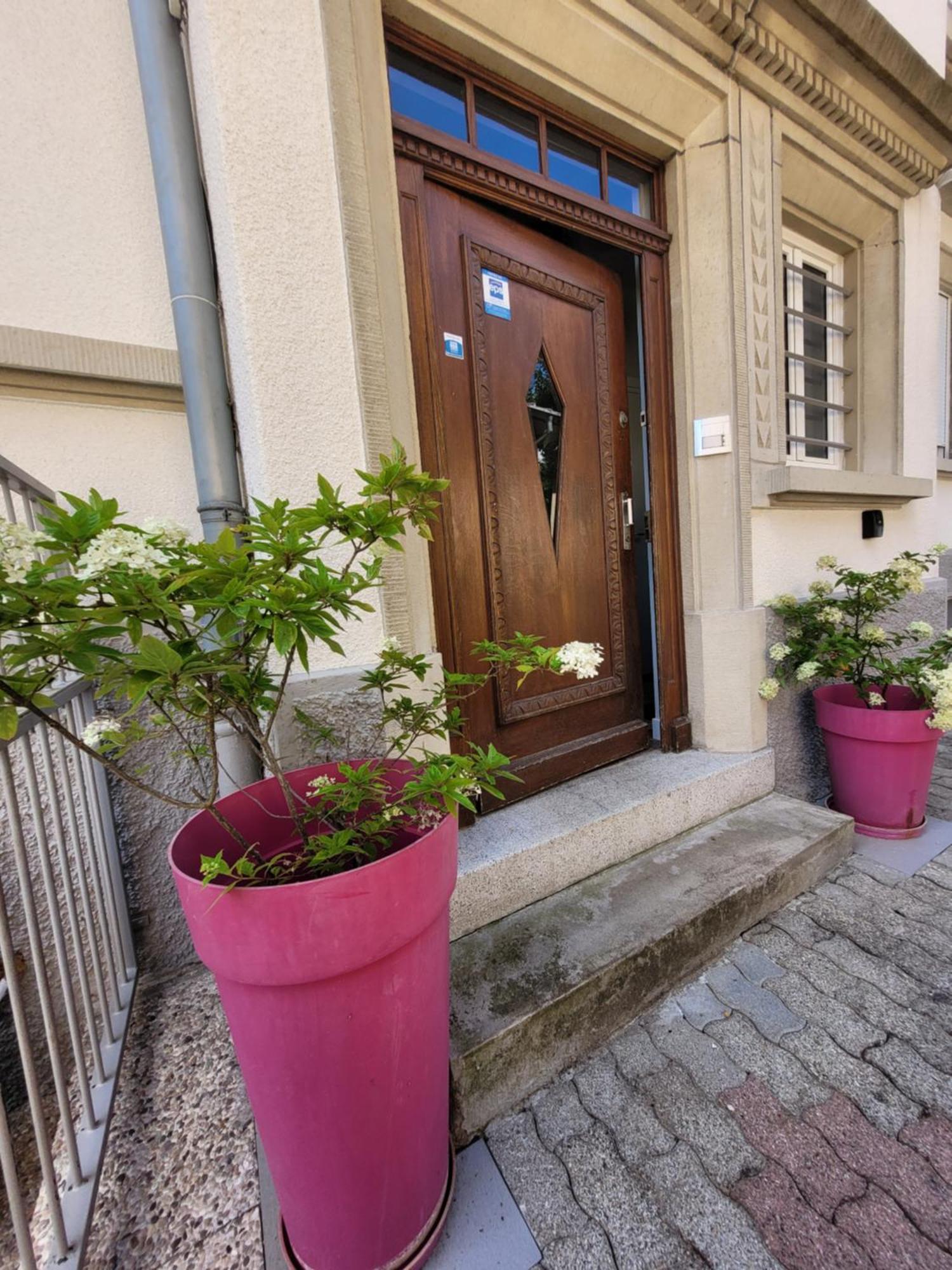 Le Cocon D'Emma, Appartement Bourgeois Avec Terrasse, Et Parking Gratuit Dans Maison De Maitre Strasbourg Exterior photo